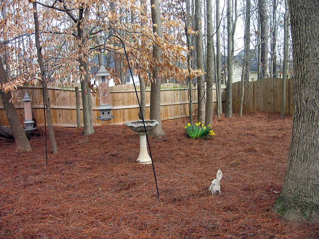 Pine straw service