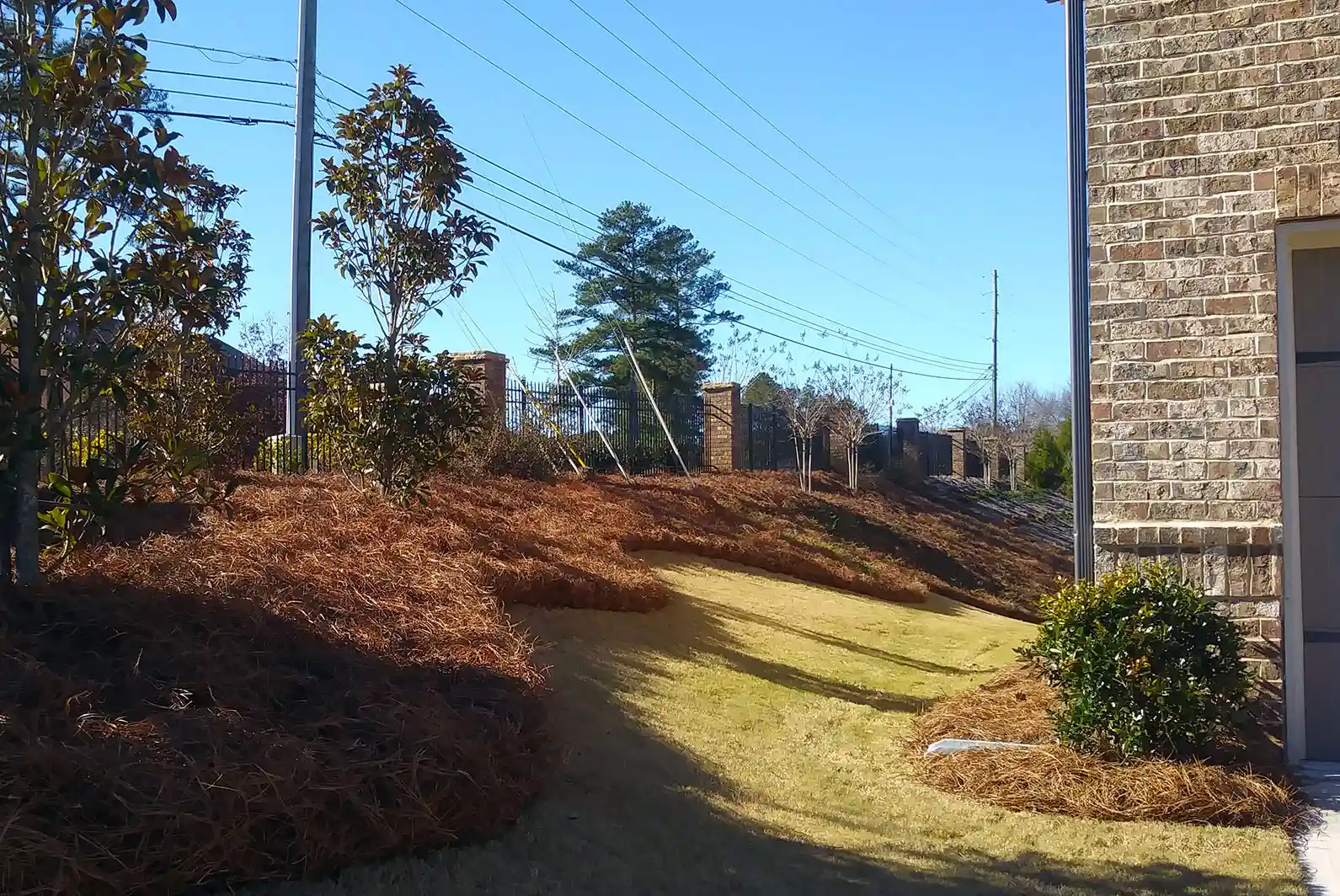 Pine straw installation
